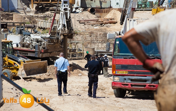 haradeem france hos 629 (40).jpg